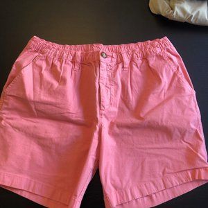 Chubbies Shorts - The Alaska Wilds 7" (Stretch)